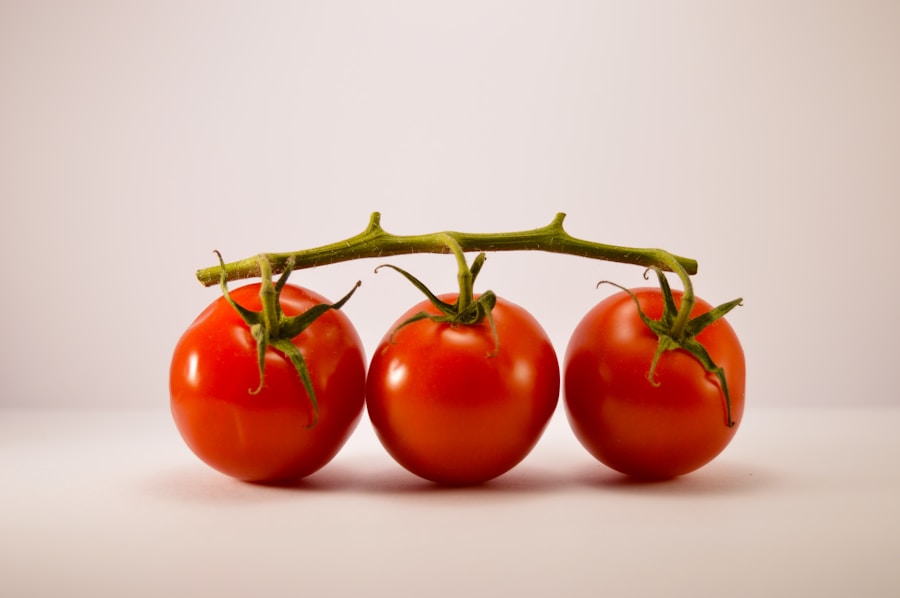 Ripe red tomatoes on the vine, ready for a simple Italian meal